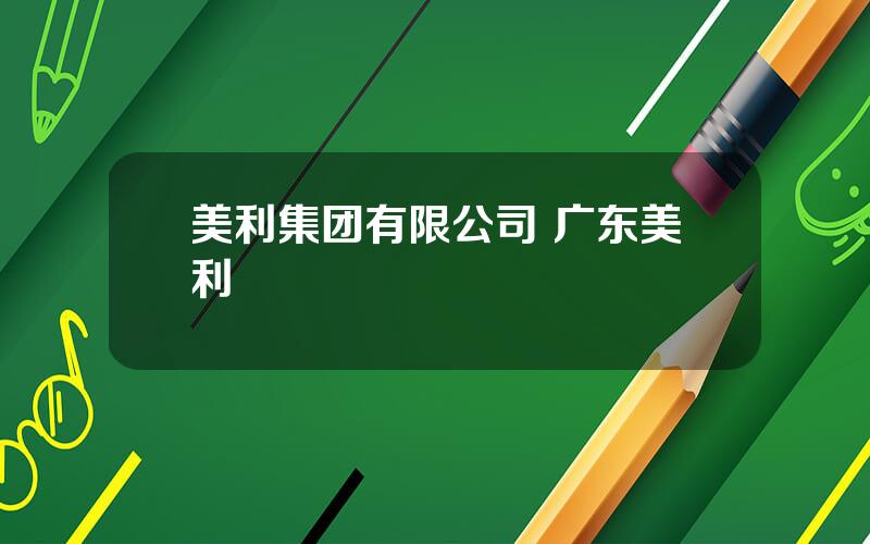 美利集团有限公司 广东美利